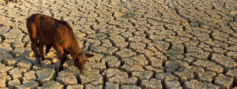 New concessional loan fund for farmers experiencing drought
